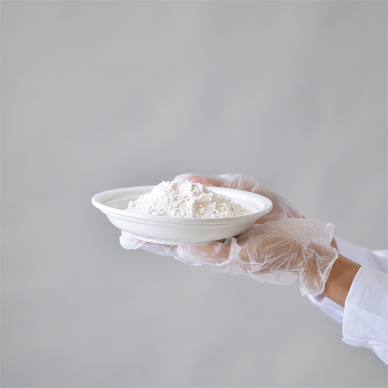Hydroxypropyl metil cellulose CAS 9004-65-3